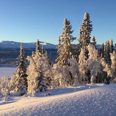 Trollbu Granasenfefor Vinstra